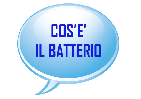 batterio